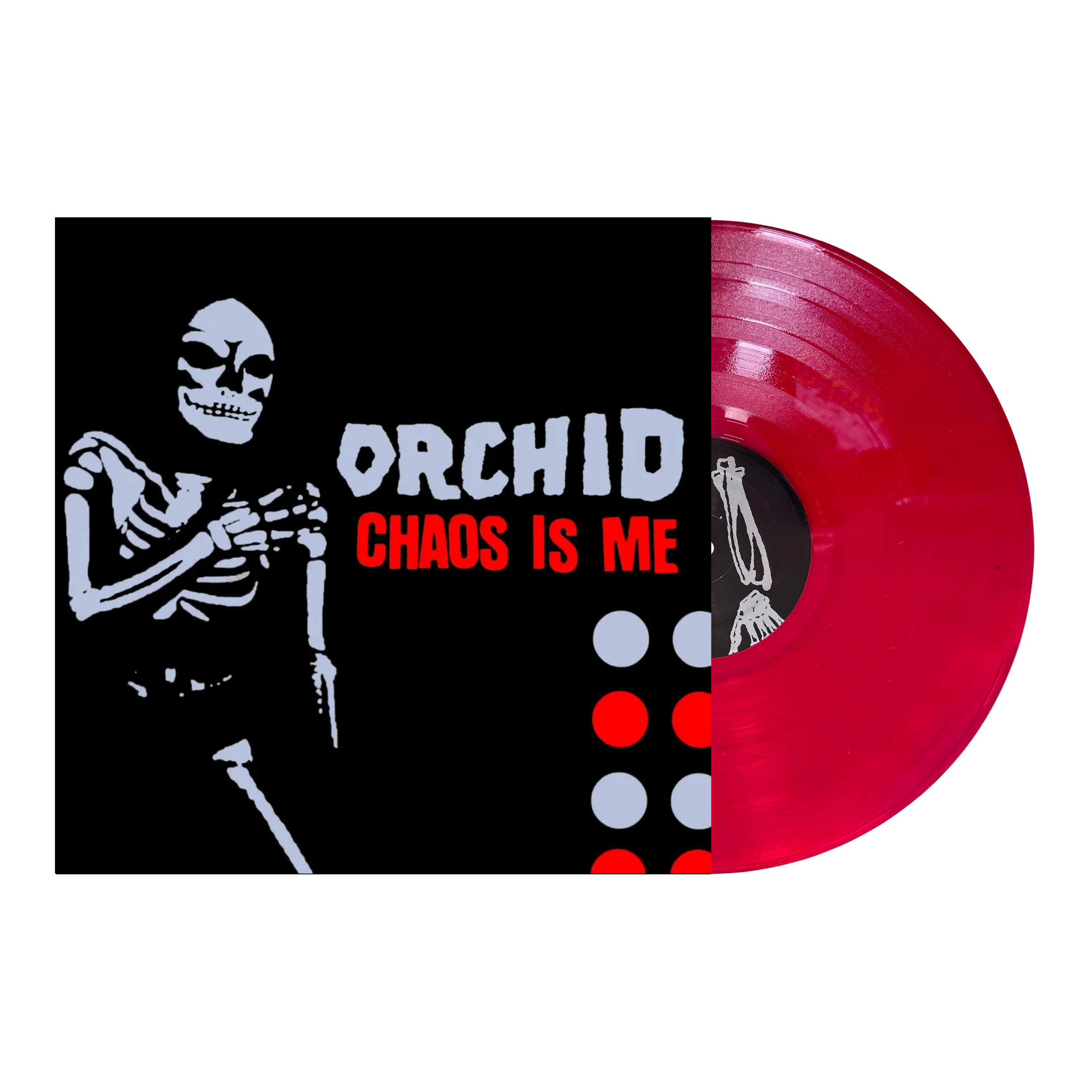 Orchid 