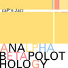 Cap'n Jazz "Analphabetapolothology" 2xLP