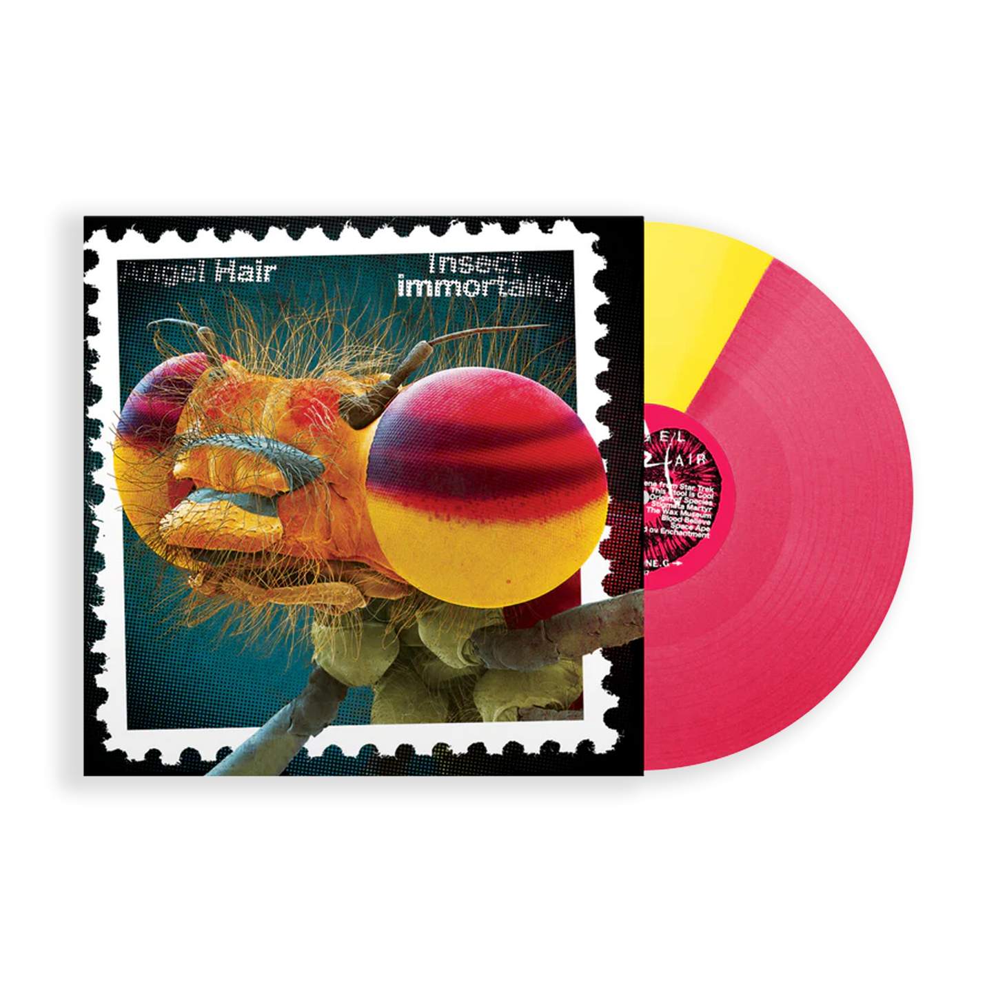 Angel Hair "Insect Immortality" LP
