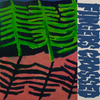 ANORAK! 'Fingers Crossed' LP