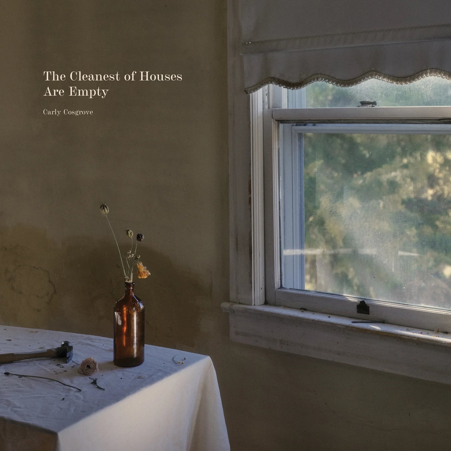 Carly Cosgrove "The Cleanest Houses Are Empty" LP