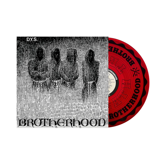 DYS "Brotherhood" LP