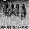 DYS "Brotherhood" LP