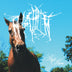 FFO: Chillin 'High Horse' LP