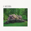 Greening "Self Titled" LP