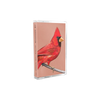 Alexisonfire "Old Crows / Young Cardinals" CS