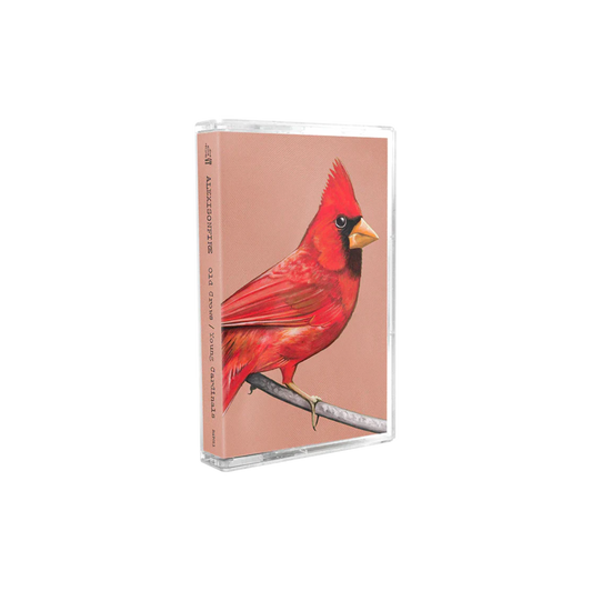 Alexisonfire "Old Crows / Young Cardinals" CS