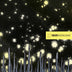 ISIS 'Wavering Radiant' 2xLP