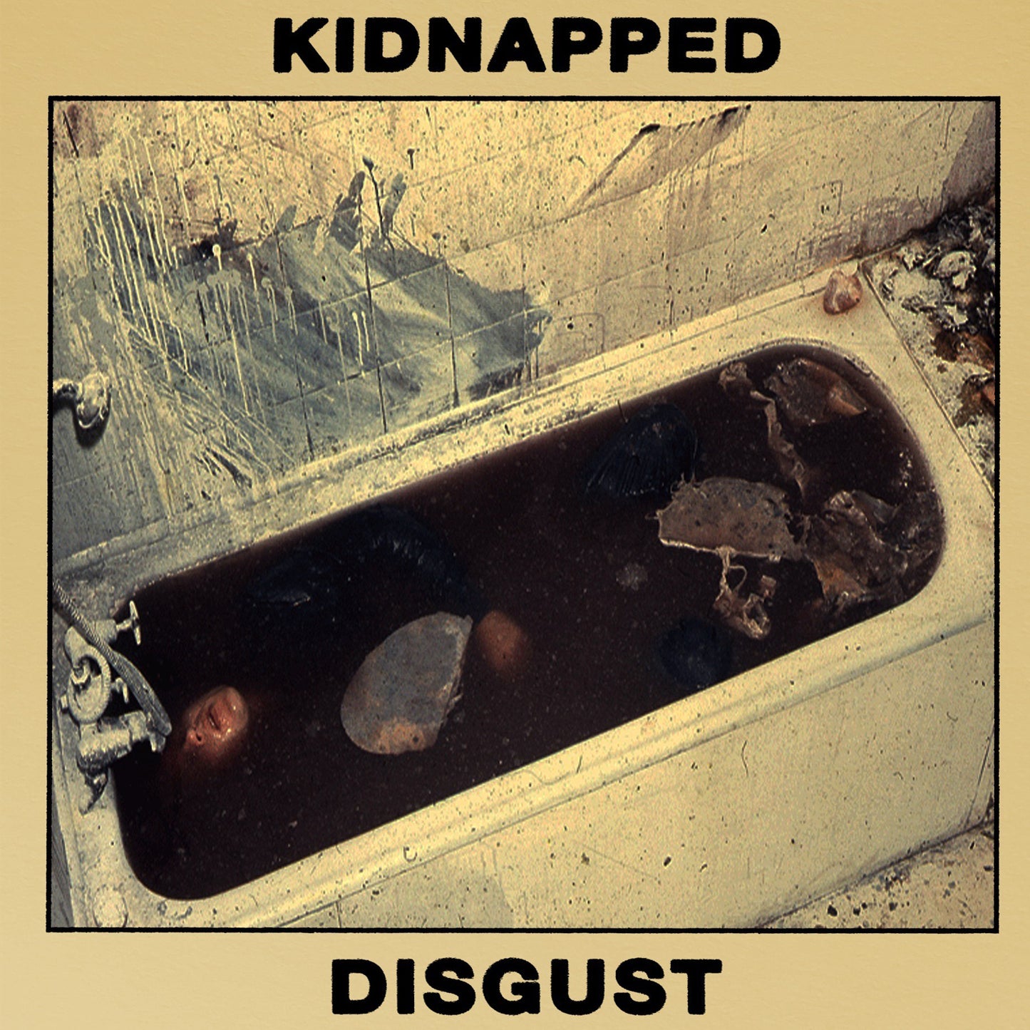 Kidnapped "Disgust" CD
