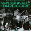 Various Artists 'New York City Hardcore: The Way It Is' LP