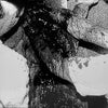 Mangled State 'Post Mortem Convulsion' LP