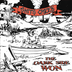 Shits Creek 'The Dark Side Won' 7" EP