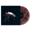 Raein / Daitro "Split" LP
