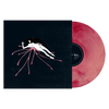 Raein / Daitro "Split" LP