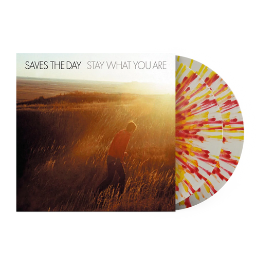 Saves The Day "Stay What You Are" 2xLP 10"