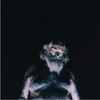 Nothing "The Great Dismal" LP