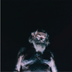 Nothing "The Great Dismal" LP