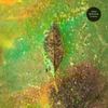 Adam Rubenstein  'Firebreak' LP