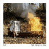 PUP 'The Dream Is Over' 10th Anniversary LP