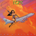 NOFX 'S&M Airlines' LP