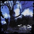 Staind 'Break The Cycle (25th Anniversary Live)' LP
