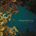 Time Spent Driving  'Lost Leaves' LP