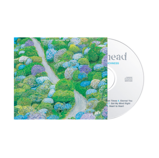 Fiddlehead "Between The Richness" CD