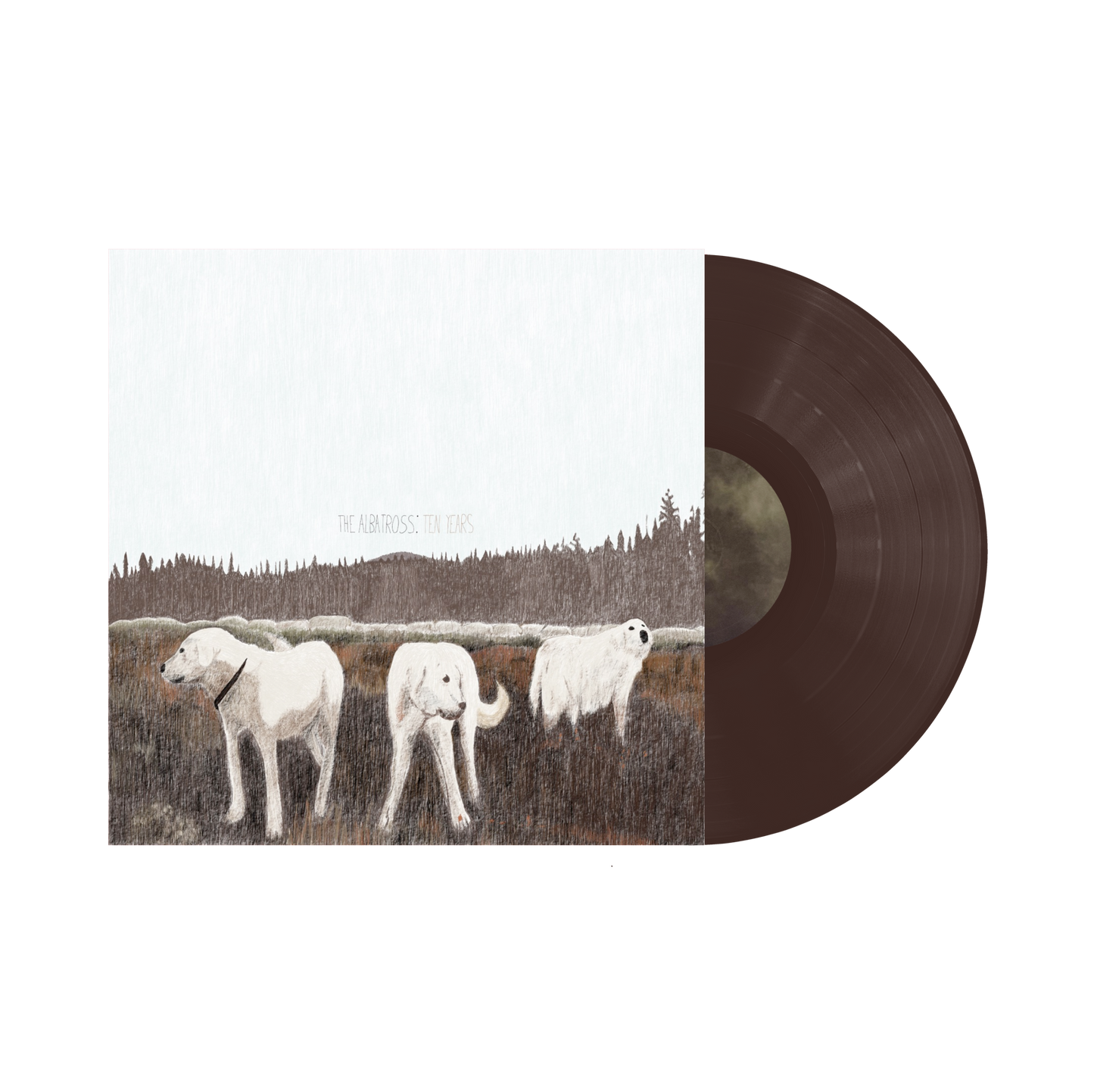 Foxing "The Albatross" (10th Anniversay Edition) LP