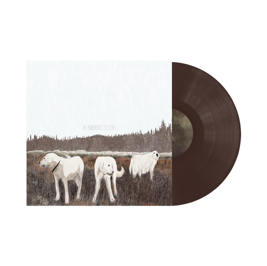 Foxing "The Albatross" (10th Anniversay Edition) LP