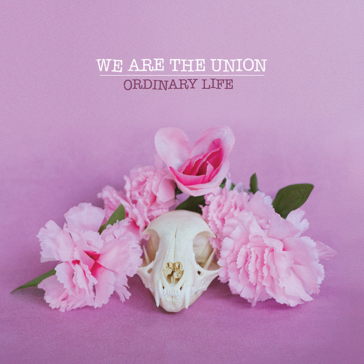 We Are The Union "Ordinary Life" LP