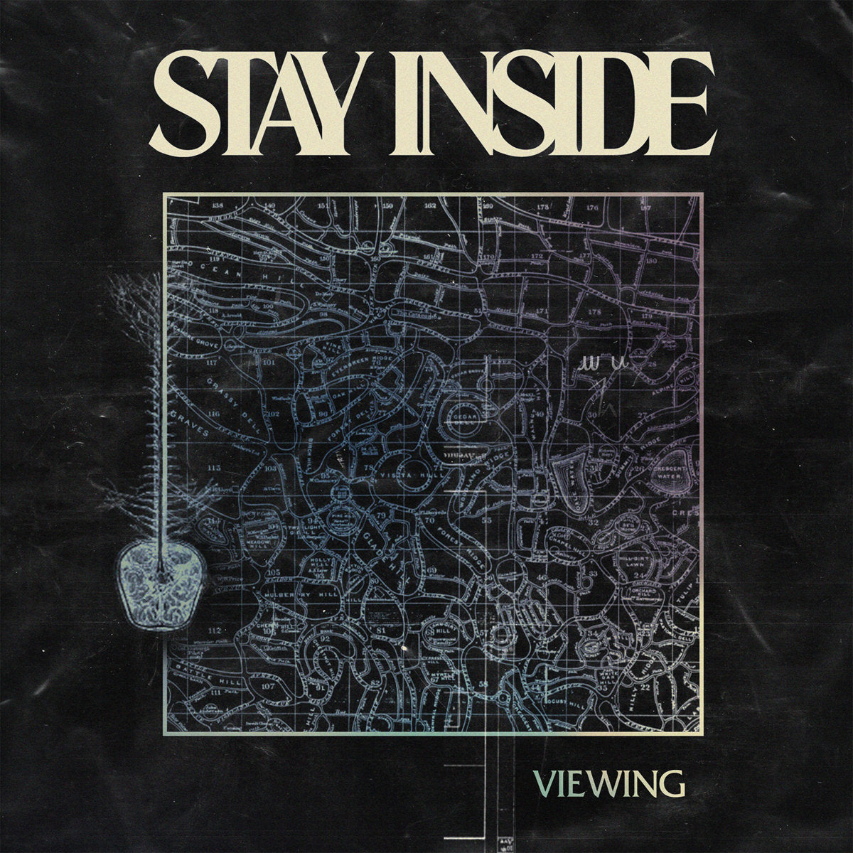Stay Inside "Viewing" LP