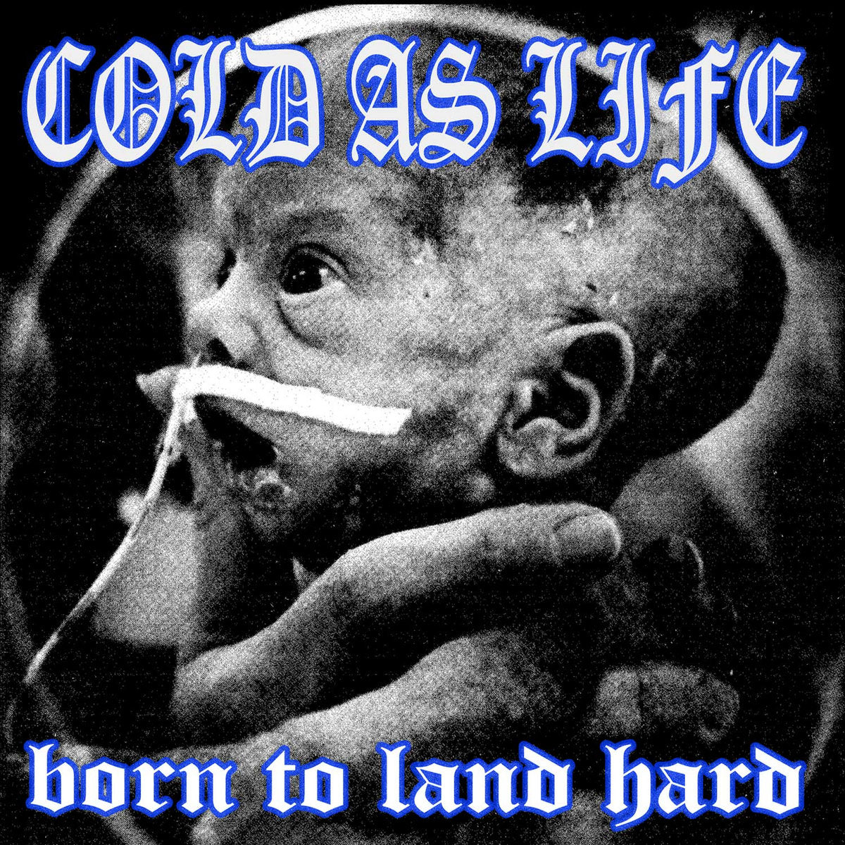 Cold As Life "Born To Land" LP