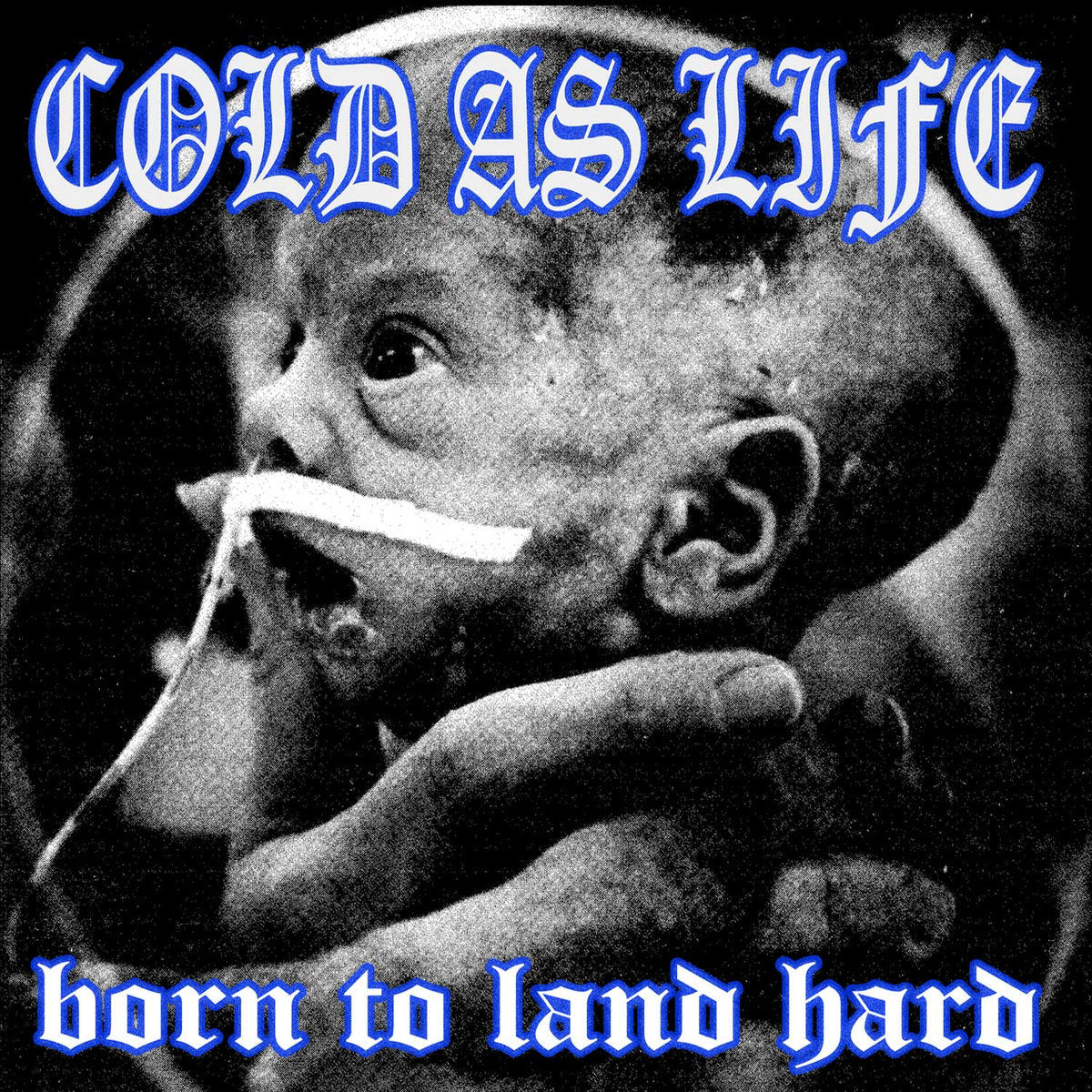 Cold As Life "Born To Land" CD