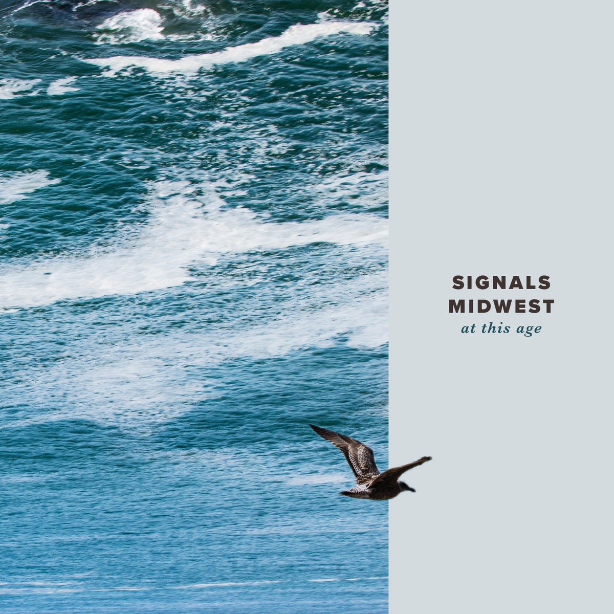 Signals Midwest "At This Age" LP