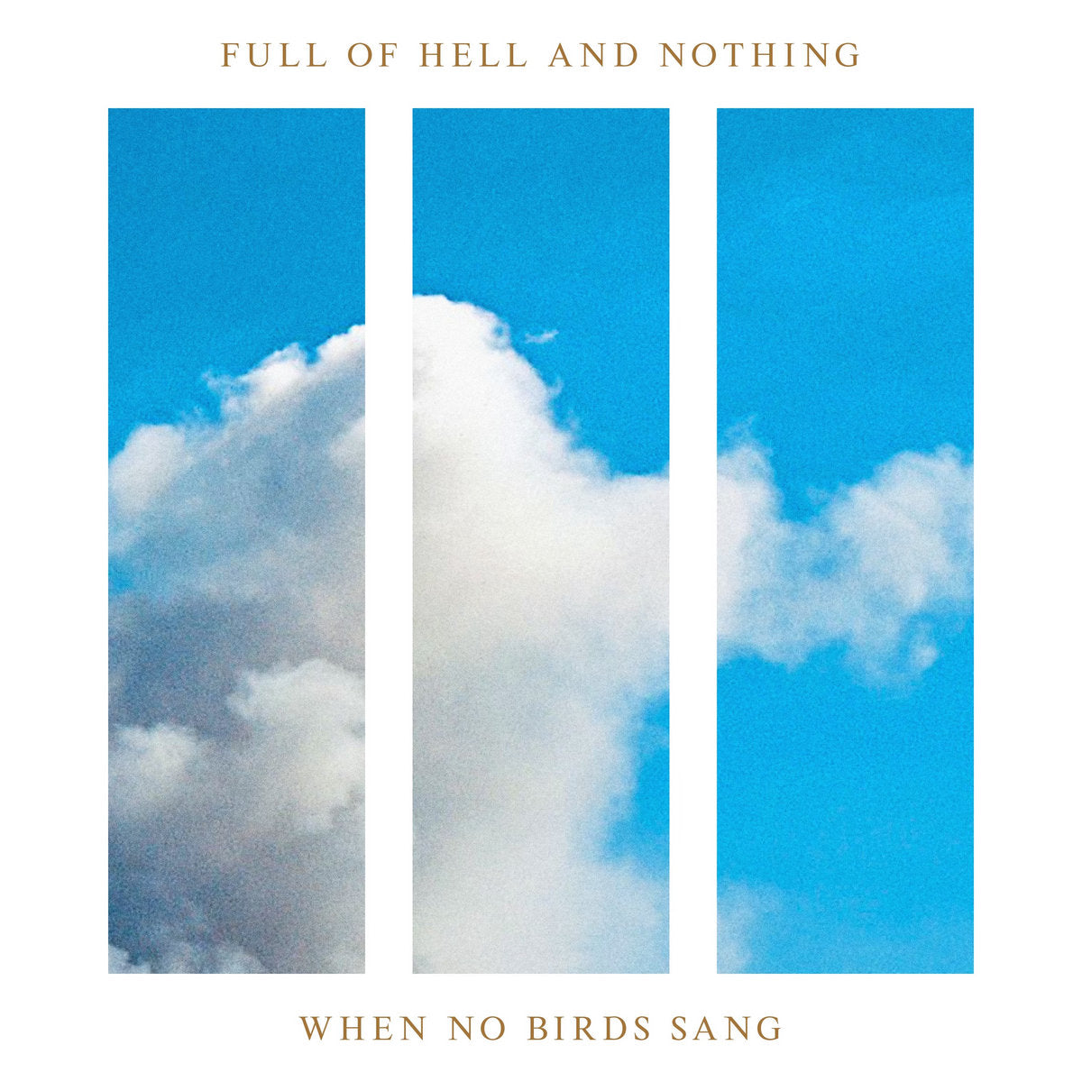 Full of Hell & Nothing  "When No Birds Sang" LP