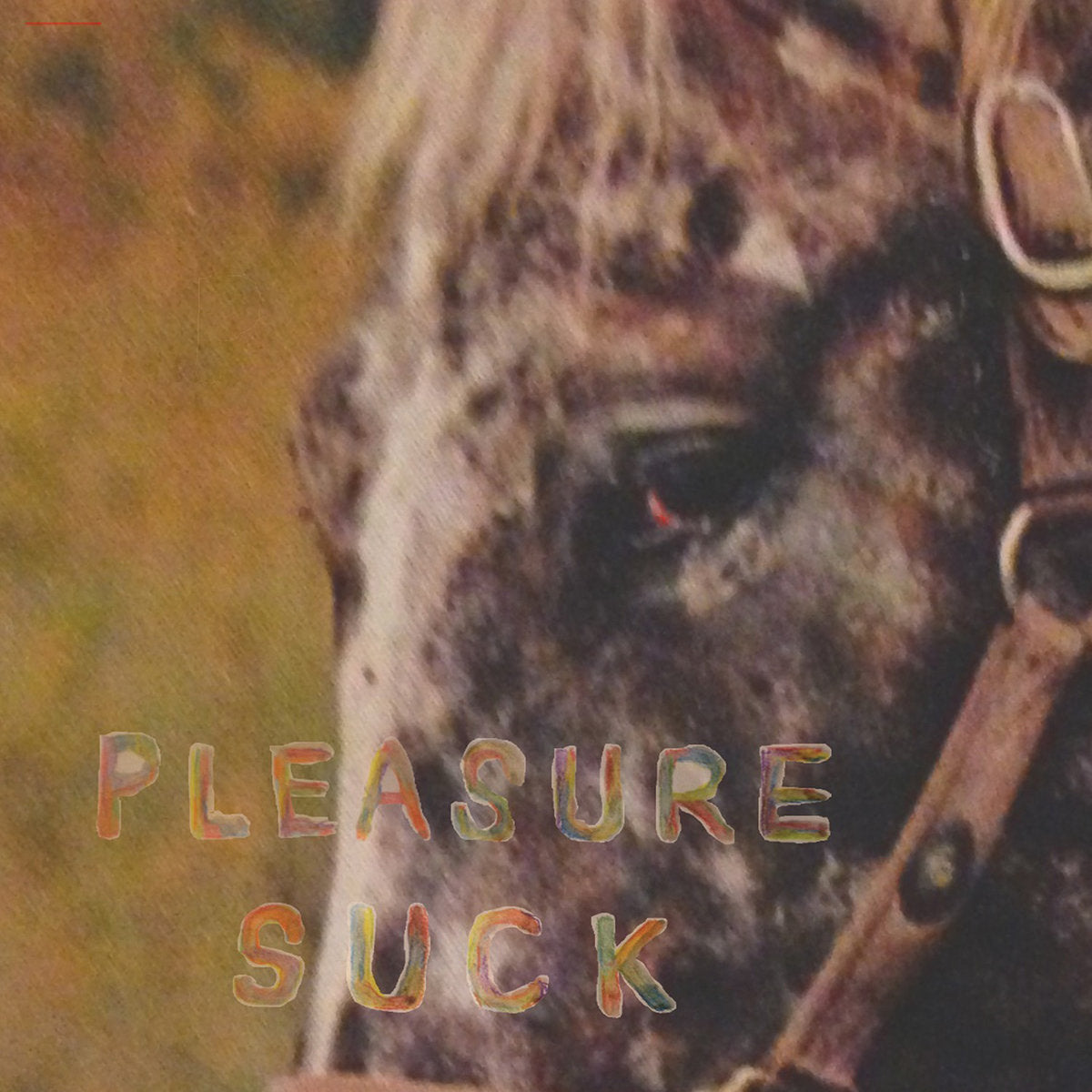 Spirit Of The Beehive "Pleasure Suck" LP
