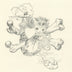 Sweet Tooth 'Guppy' CD