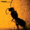 Sleepwalk 'View From The Outside' CD