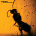 Sleepwalk 'View From The Outside' CD