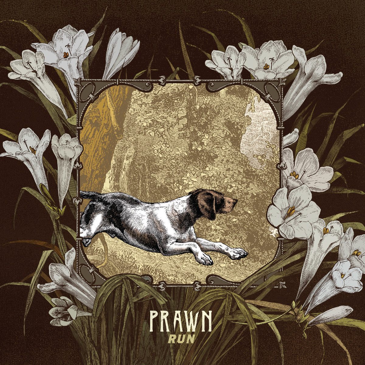 Prawn "Run" CD