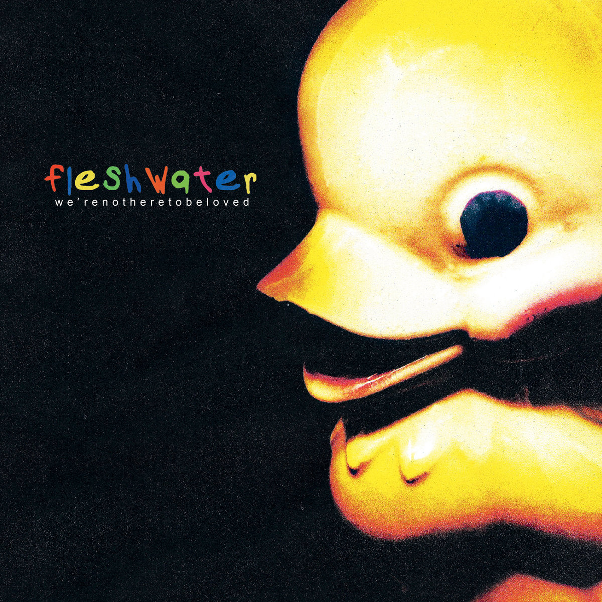 Fleshwater  "We're Not Here To Be Loved" CD