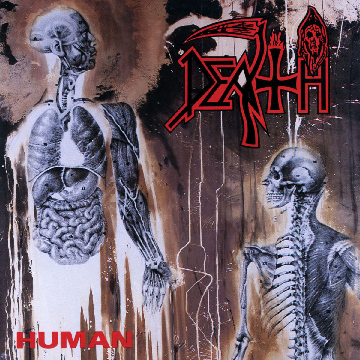 Death "Human" LP