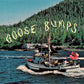 Boyscott "Goosebumps" CD