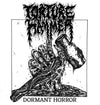 Torture Hammer "Dormant Horror" 7"