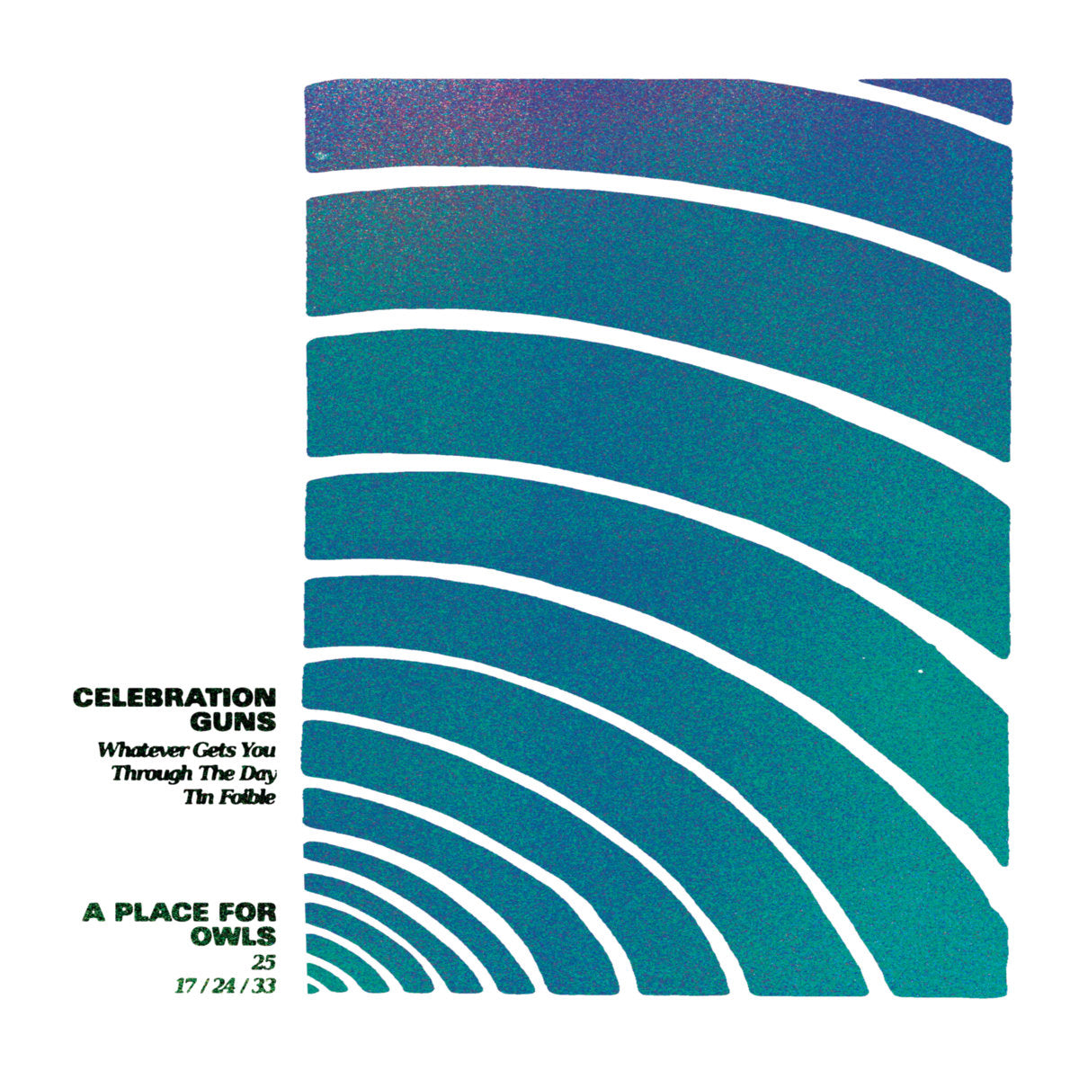 Celebration Guns / A Place For Owls  "Split" CS