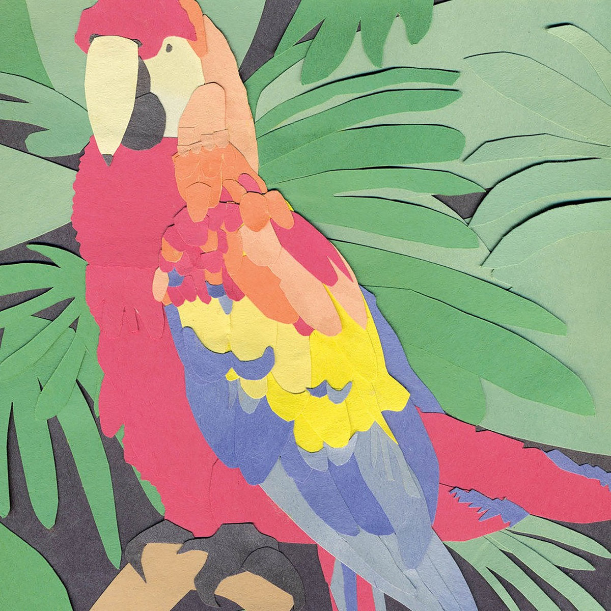 Algernon Cadwallader "Parrot Flies" CD