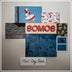 Somos 'First Day Back' LP