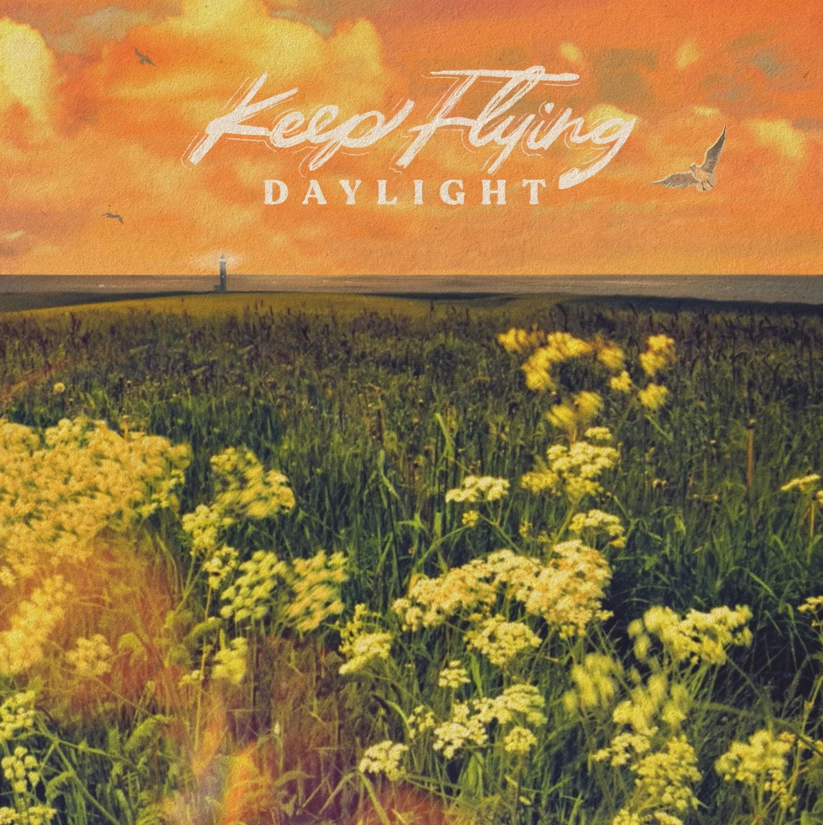 Keep Flying "Daylight" LP