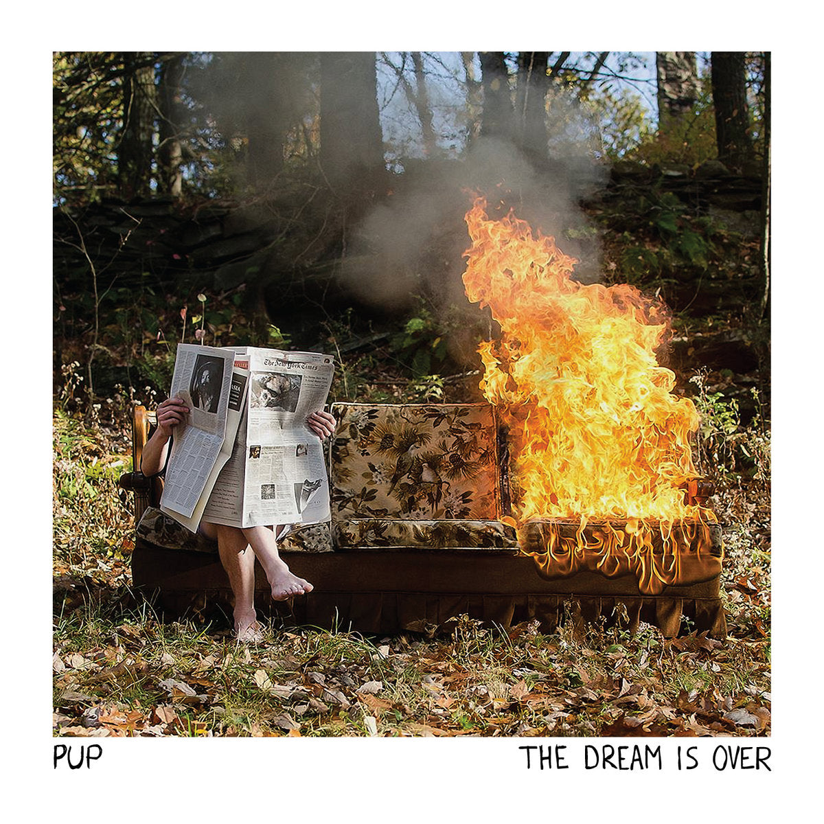 Pup "The Dream Is Over" LP