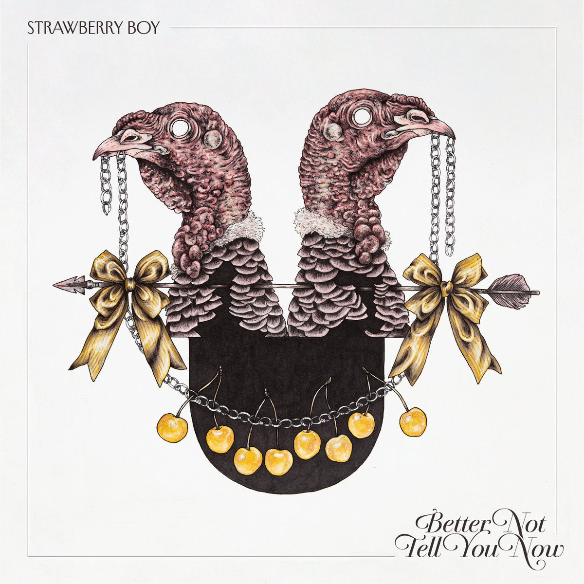 Strawberry Boy  "Better Not Tell You Now" LP